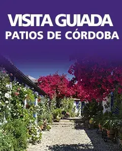  Visita Guiada Patios Populares de Córdoba