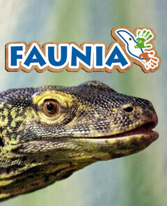 Faunia - groupe mixte