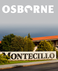 Visita Bodegas Montecillo - Osborne