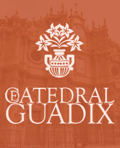 Entrada Catedral de la Encarnación de Guadix: Sin colas